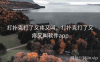打扑克打了又疼又叫，打扑克打了又疼又叫软件app