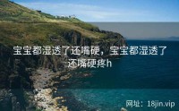 宝宝都湿透了还嘴硬，宝宝都湿透了还嘴硬疼h