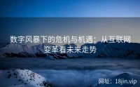 数字风暴下的危机与机遇：从互联网变革看未来走势