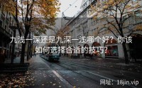九浅一深还是九深一浅哪个好？你该如何选择合适的技巧？
