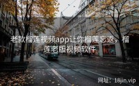 老款榴莲视频app让你榴莲忘返，榴莲老版视频软件